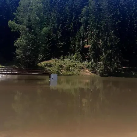 Reze šumava Apartamento *