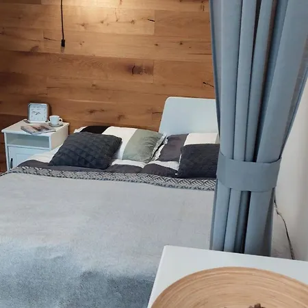 Reze Sumava Apartment Zelezna Ruda