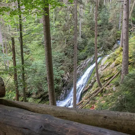 Reze šumava
