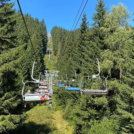 Reze šumava