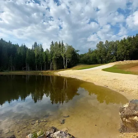 Reze šumava *