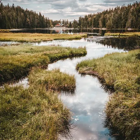 Reze šumava Apartamento *
