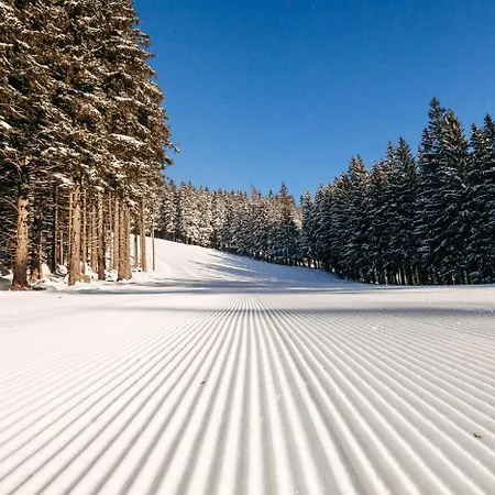 Reze Sumava Lejlighed *