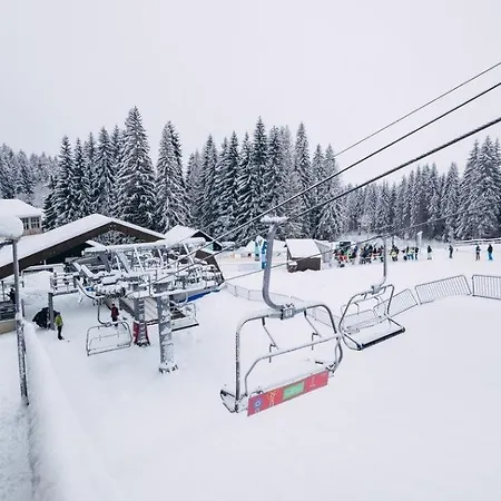 Reze šumava *