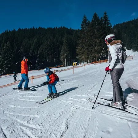 Reze šumava Železná Ruda