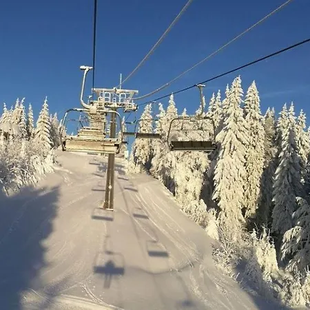 Reze Sumava * Zelezna Ruda