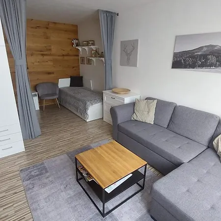 Reze Sumava Apartment Zelezna Ruda