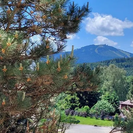 Reze šumava Železná Ruda