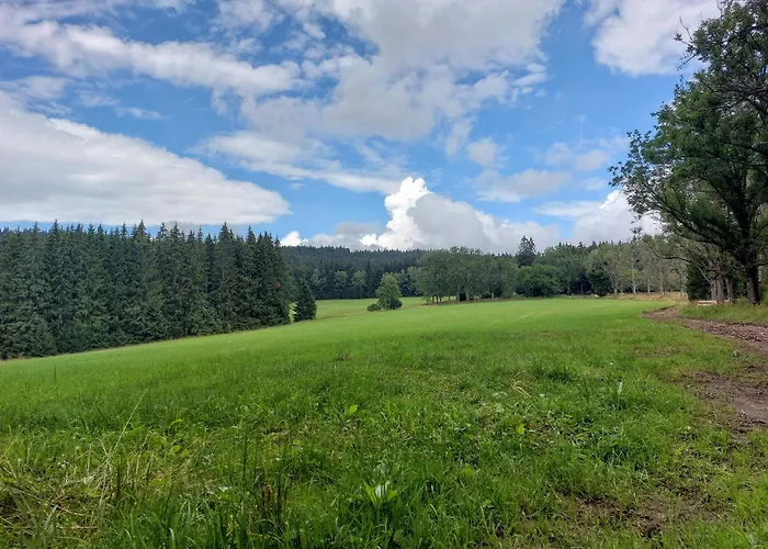 Reze šumava * Železná Ruda