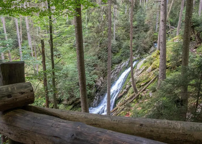 Reze šumava