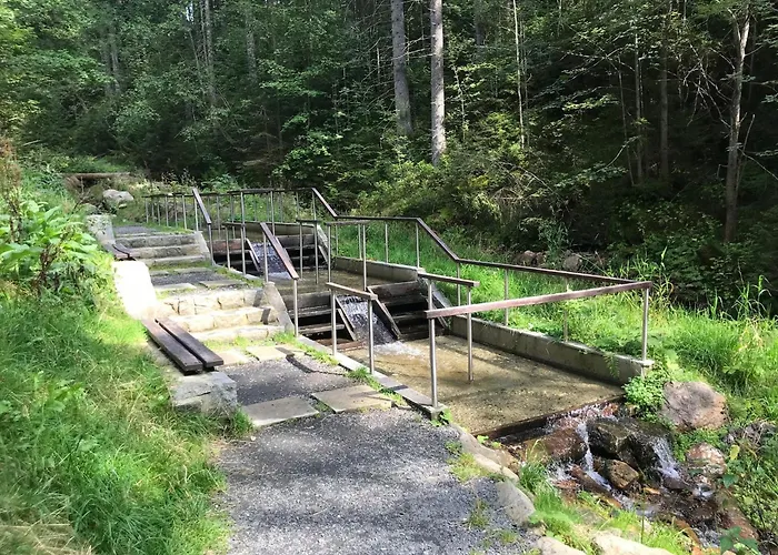 Reze šumava Železná Ruda