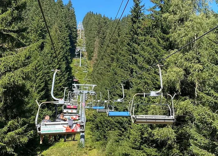 Reze šumava