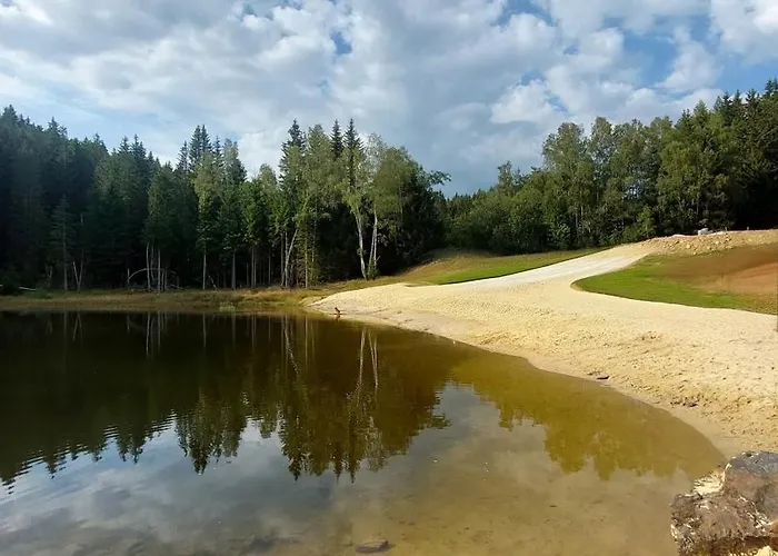 Reze šumava *