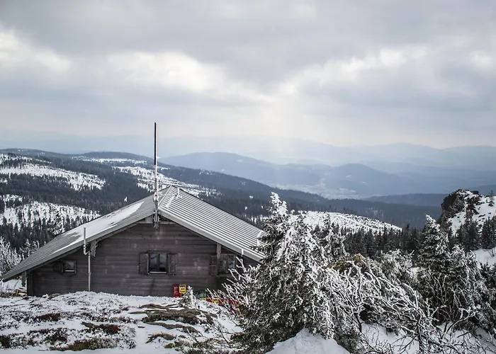 Reze šumava