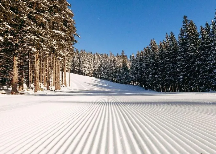 Reze šumava Appartamento *