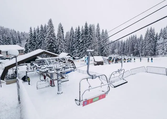 Reze šumava *