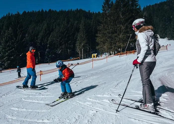 Reze šumava Železná Ruda