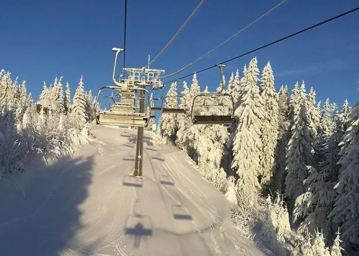 Reze šumava * Železná Ruda