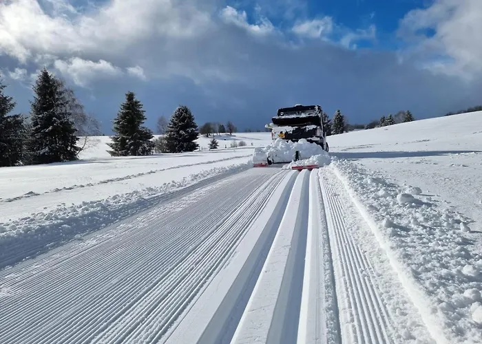 Reze šumava Appartamento