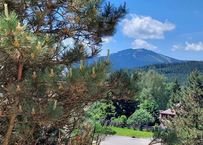 Reze šumava Železná Ruda
