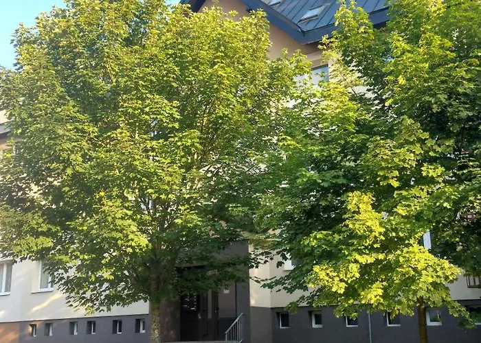 Appartamento Reze šumava